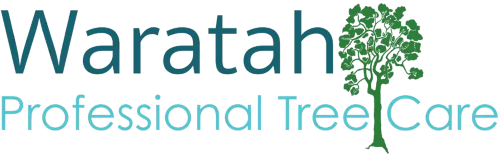 Waratah Professional Tree Care